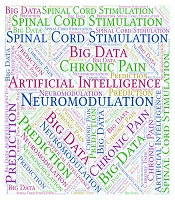 Interv Pain Med Neuromod